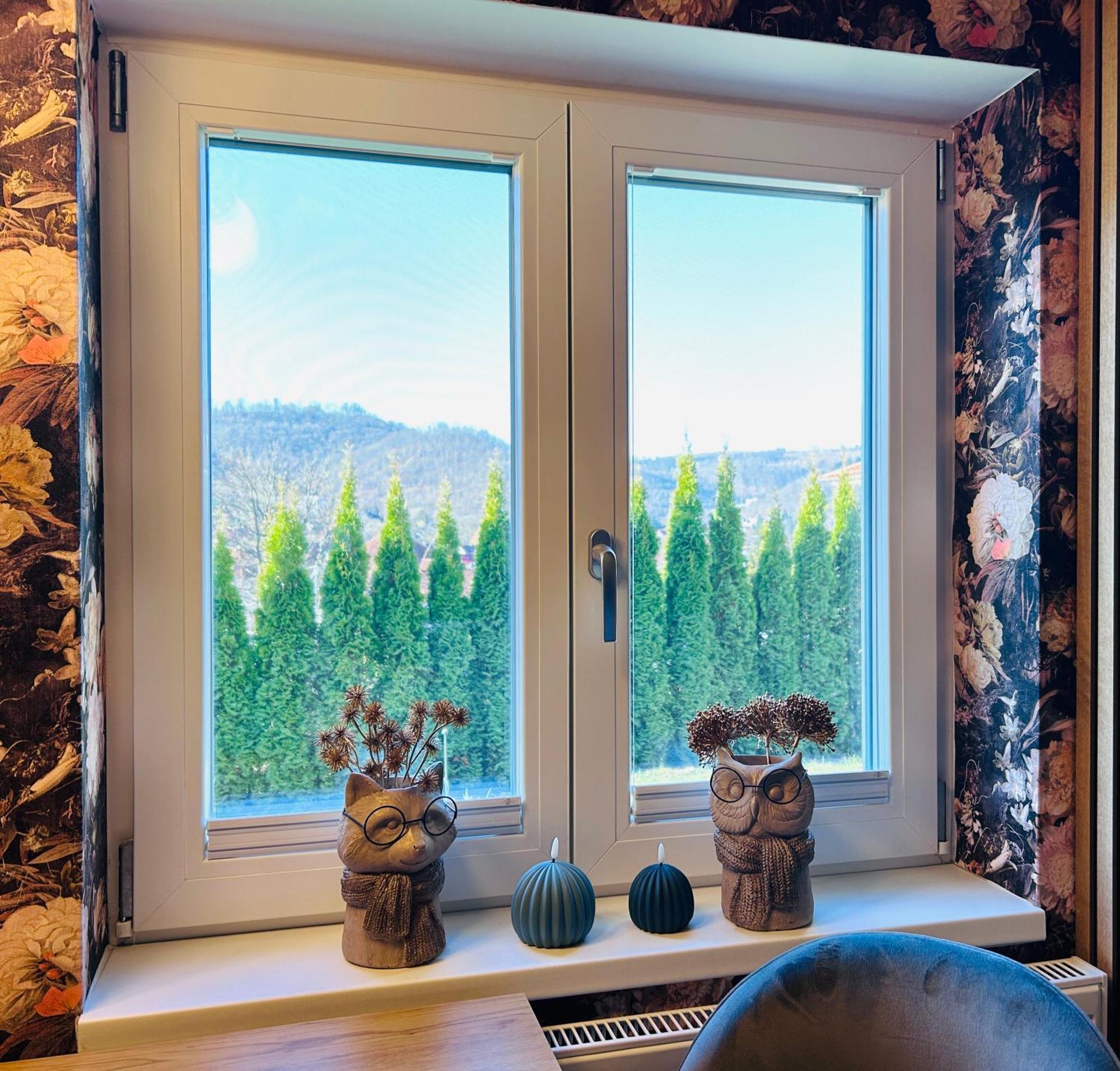 Wohnung Goethe'S Bergblick باد هازبرغ المظهر الخارجي الصورة